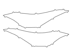 2020-2025 Toyota CH-R, CH-R, Headlight Cover Film