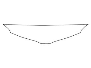 2020 Toyota Sienna, All, Invisible Bug Guard