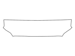 2024-2025 Toyota Tacoma, All, Invisible Bug Guard