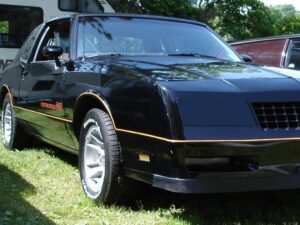 1983-1988 Chevrolet Monte Carlo, Headlight Cover, 2 Piece, Smoke