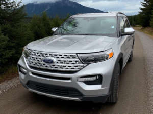 Chrome Door Mirror Cover