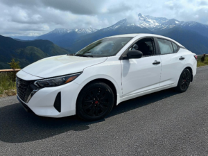 Gloss Black Window Trim Set